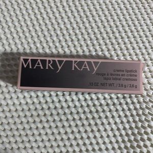 Mary Kay downtown brown lipstick